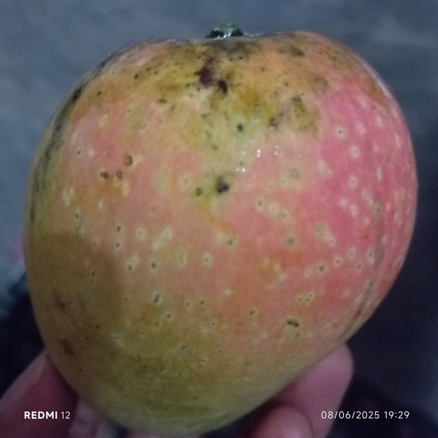 1000024371.jpg