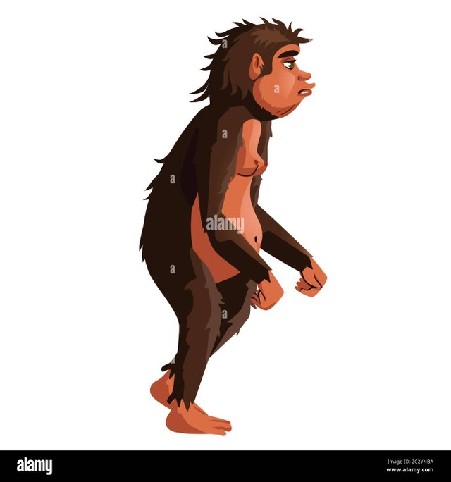 ancient-monkey-or-homo-erectus-human-ancestor-cartoon-vector-illustration-tailless-great-ape-primates-one-of-stages-in-darwin-evolutionary-theory-2C2YNBA.jpg