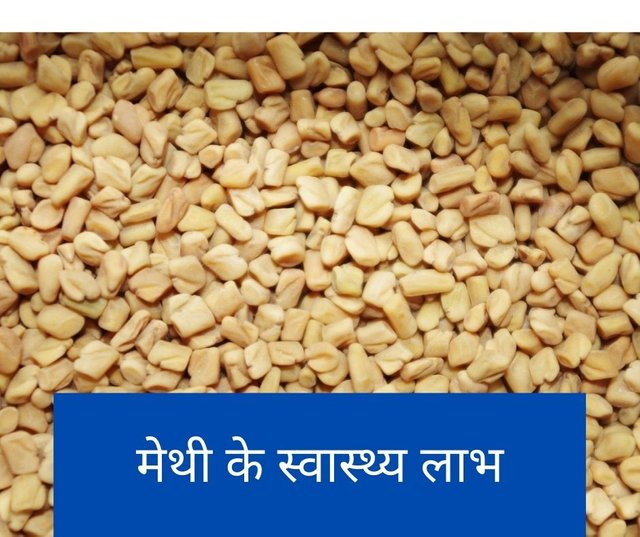 fenugreek seeds in hindi.jpg