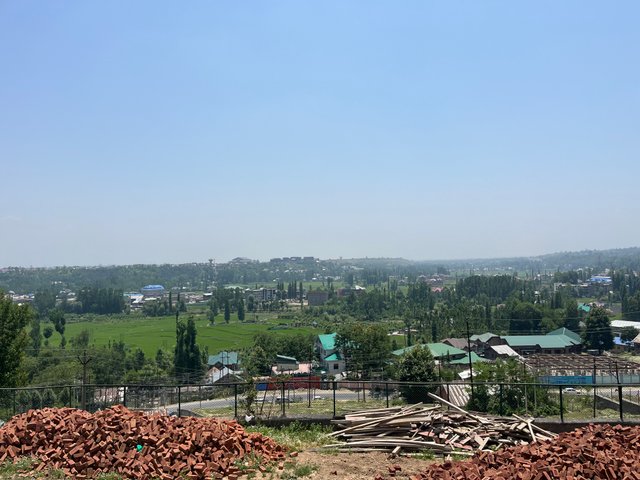 IMG_3924.jpeg