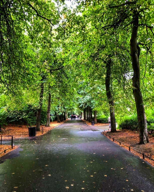 st stephens green.jpg