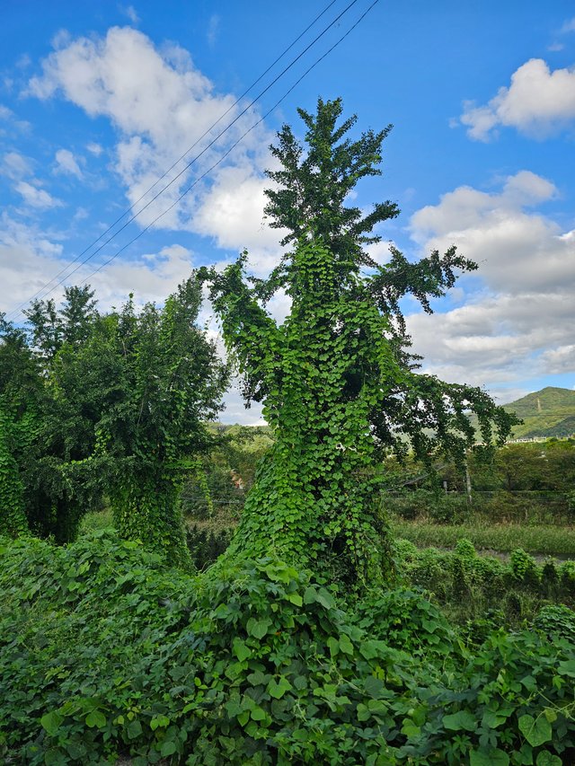 20250918_154644.jpg