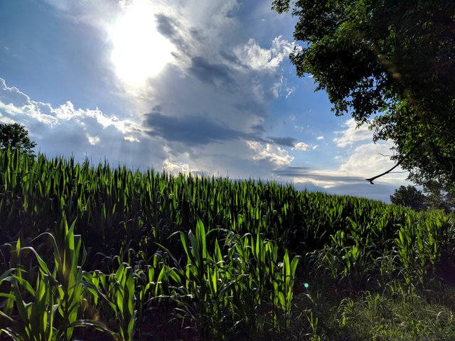 eyeemfiltered1529832815675.jpg