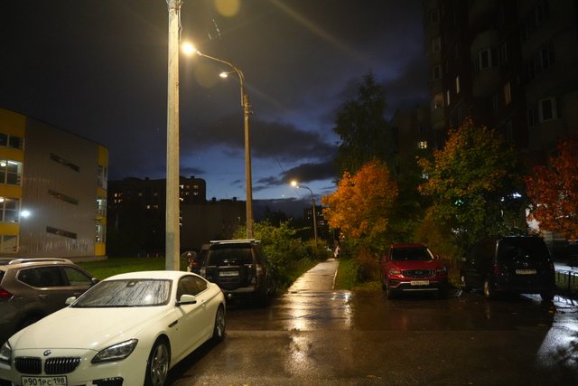 DSC06966.JPG