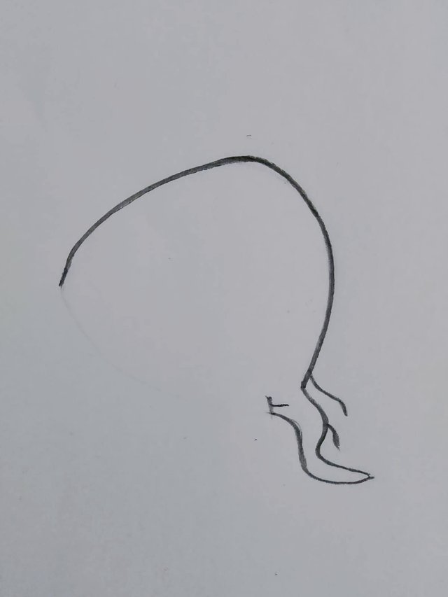 1000088521.jpg