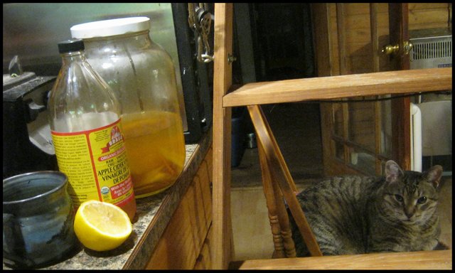 makings of toner drink with JJ on chair beside counter.JPG