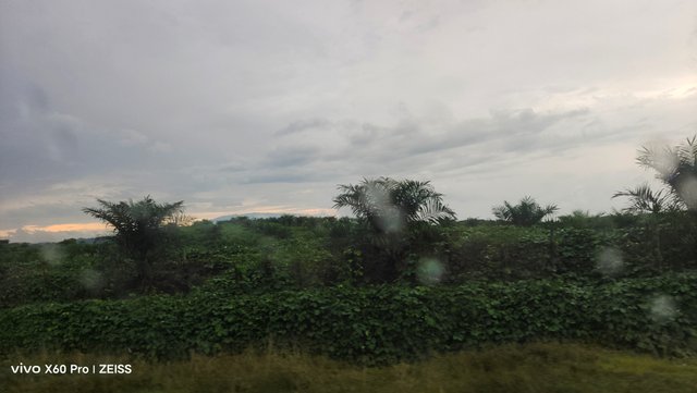 1000670996.jpg