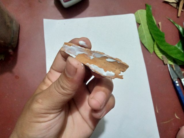 IMG20250814153106.jpg