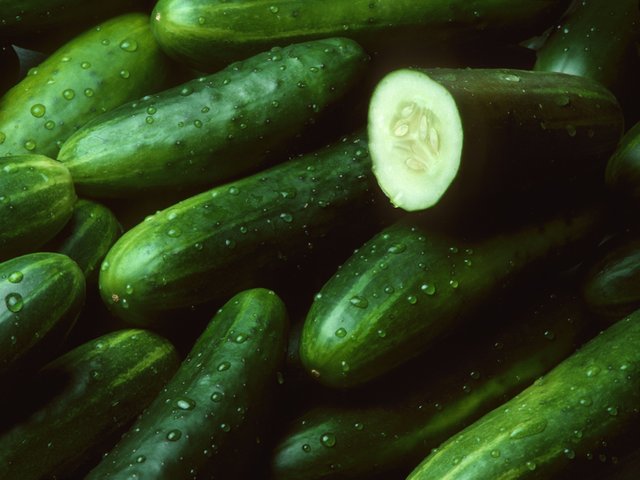 AN88-Cucumbers-732x549-thumb.jpg