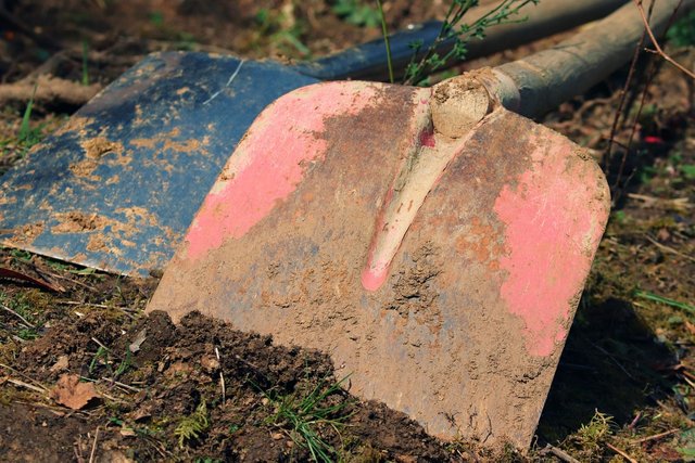 gardening-4931739_1280.jpg