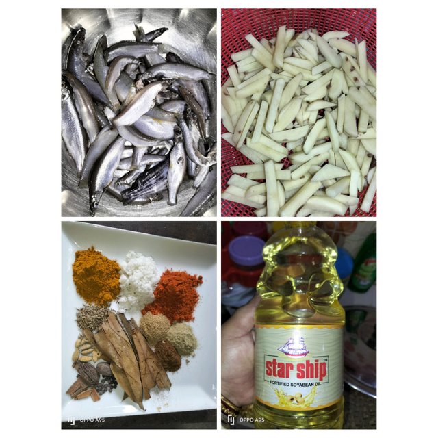 PhotoCollage_1755246578848.jpg