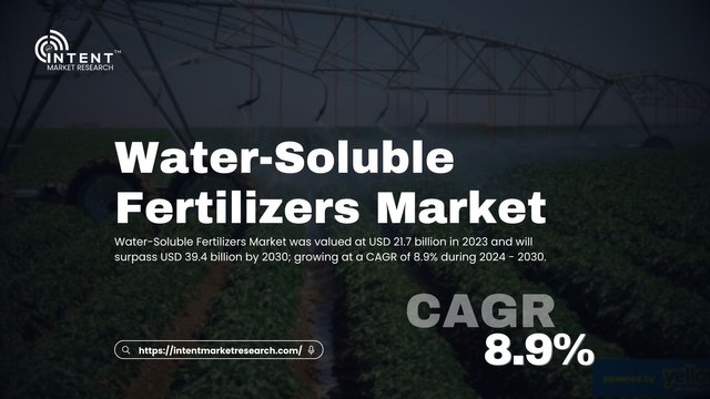 Water-Soluble Fertilizers Market.jpg