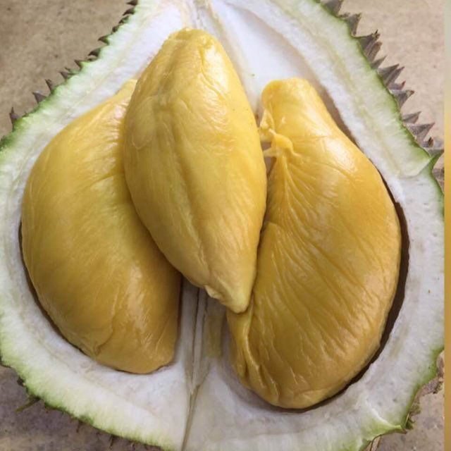 The First Taste Of Cat Mountain King Durian Or Malaysian Musang