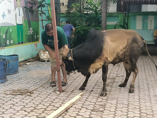 IMG20250607083113.jpg