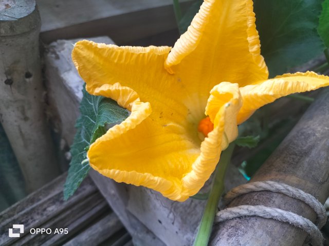 IMG20250606094335.jpg
