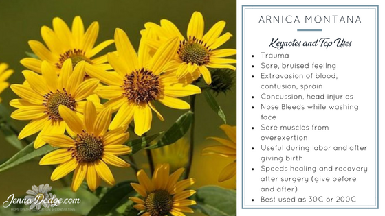 Arnica-Blog-Graphic-1.png