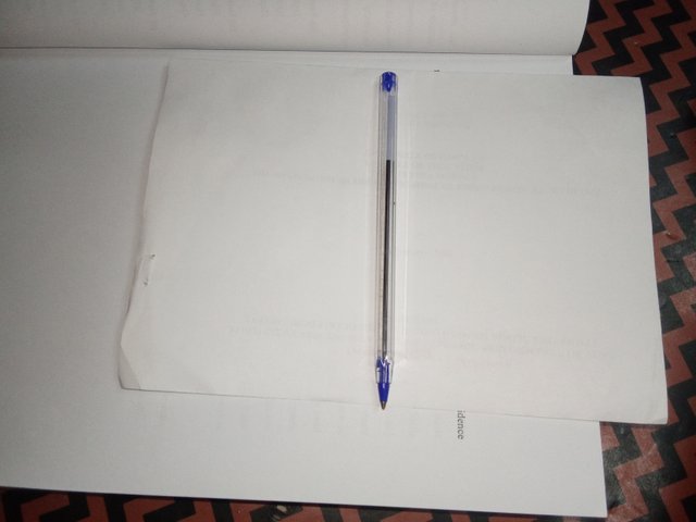 1000445591.jpg