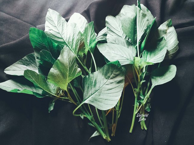 spinach 3.jpg