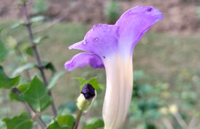IMG_20250508_191827.jpg
