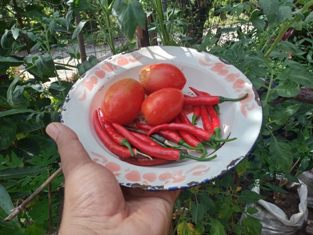 IMG20250810095754.jpg