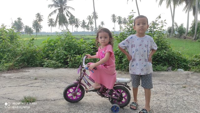 IMG_20250827_072744.jpg
