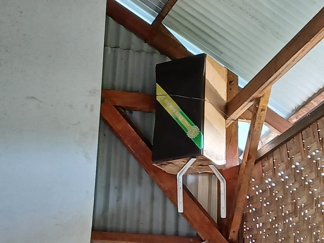 20250512_075554.jpg