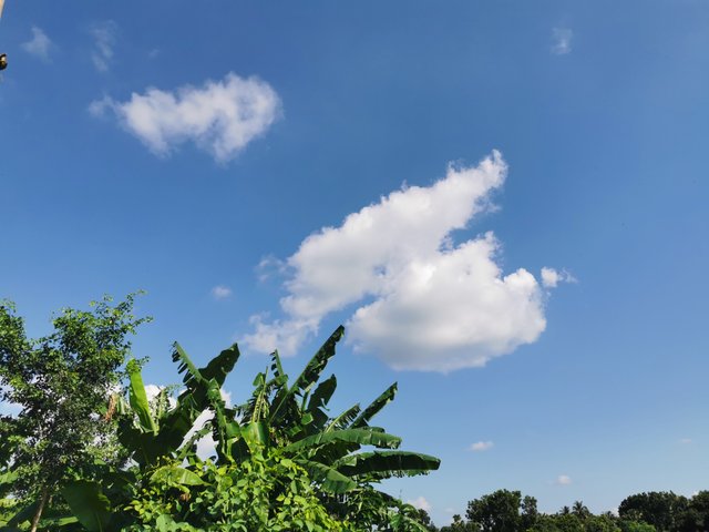IMG_20240829_151626.jpg