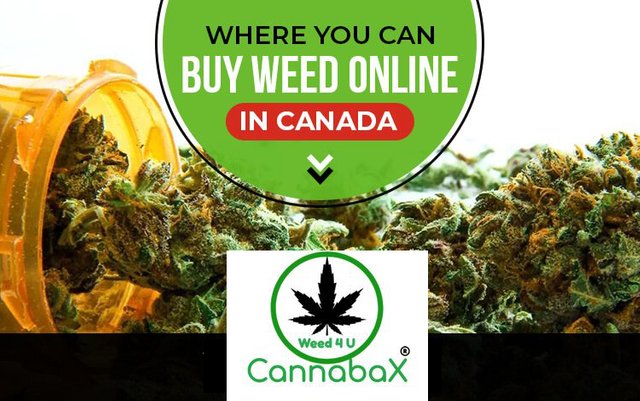 buy-weed-online-with-bitcoin2.jpg