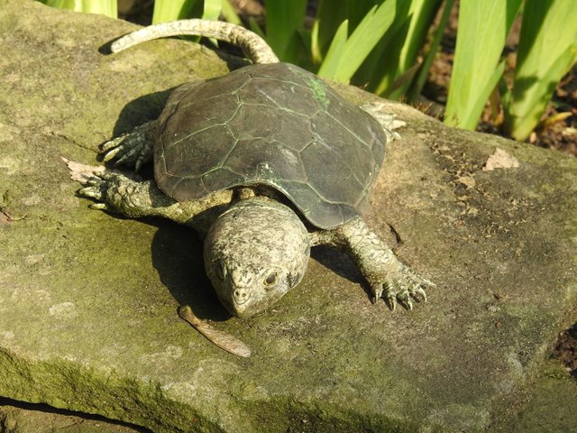 DSCN1224.JPG