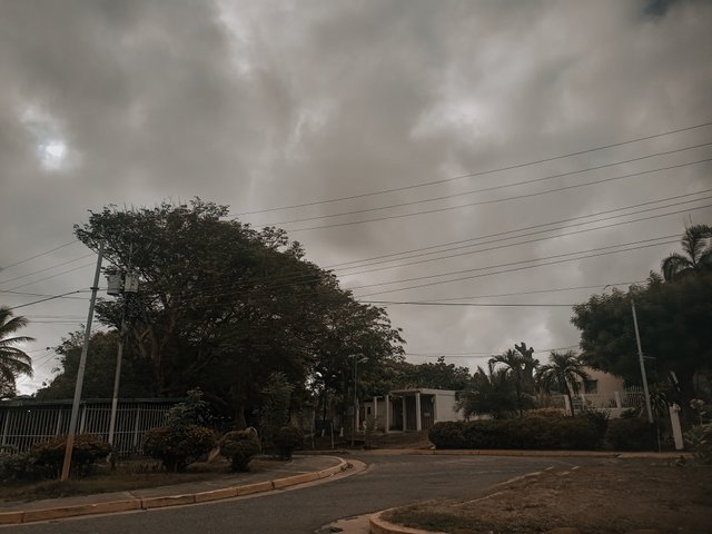 IMG_20250428_074528_247.jpg