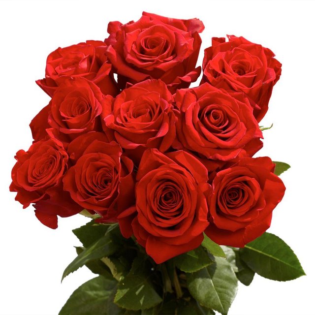 globalrose-flower-bouquets-vars-2-dozen-red-roses-64_1000.jpg