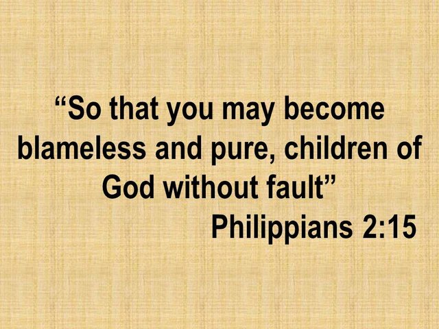 Daily Devotional. So that you may become blameless and pure, children of God without fault.jpg