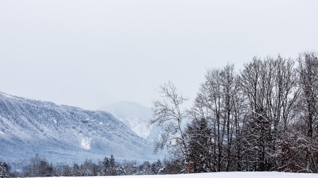2019-01-28-Rosental-Drau-Winter-01.jpg
