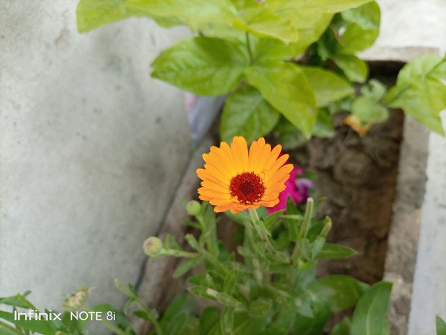 IMG_20250325_072428_400.jpg