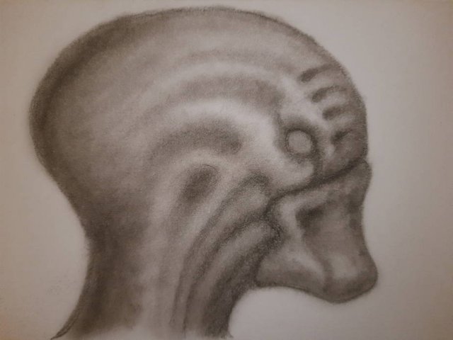 20250905_104554.jpg