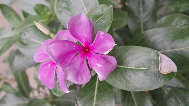 20250509_161251.jpg