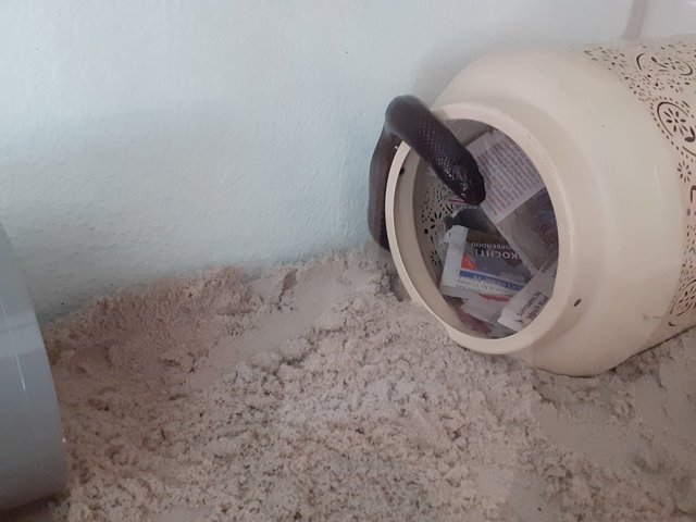 20250919_132446.jpg