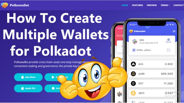 How To Create Multiple Wallets for Polkadot by Crypto Wallets Info.jpg
