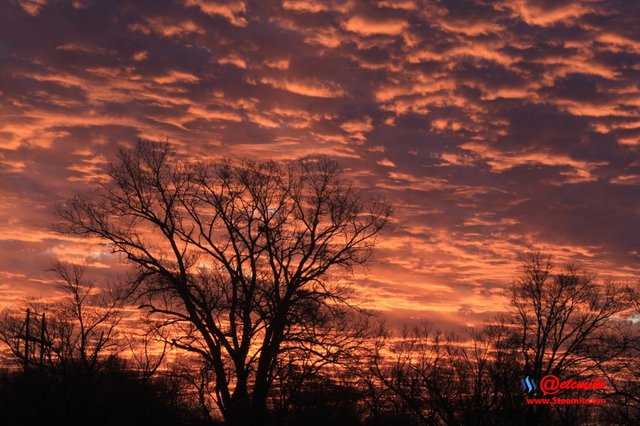 morning dawn sunrise golden-hour skyscape landscape IMG_0371.JPG