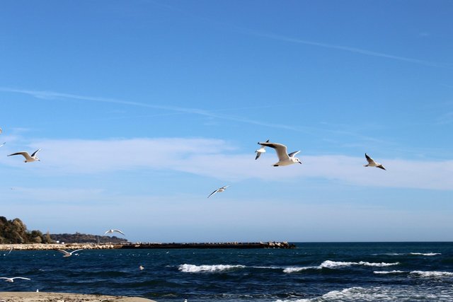 black-sea-4617810_1280.jpg