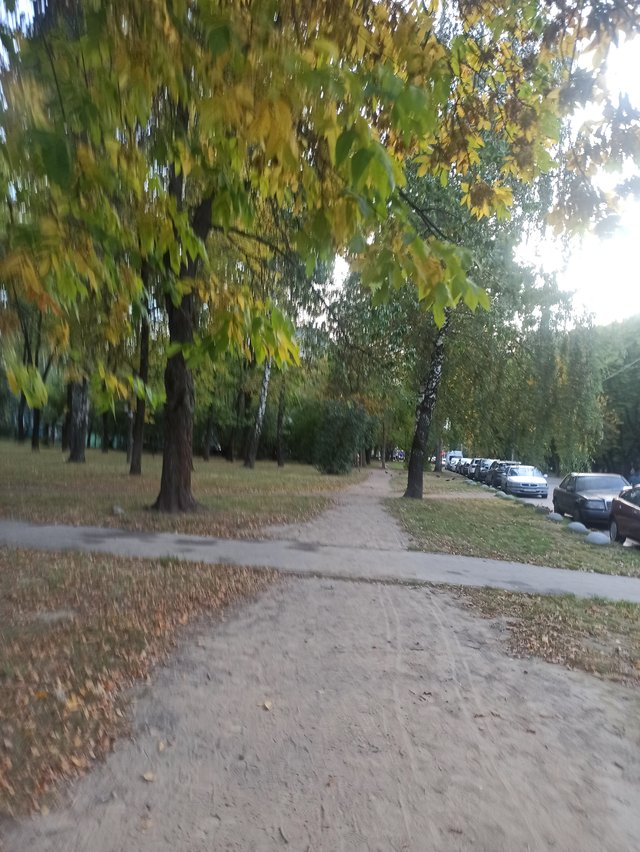 IMG_20250923_174946.jpg