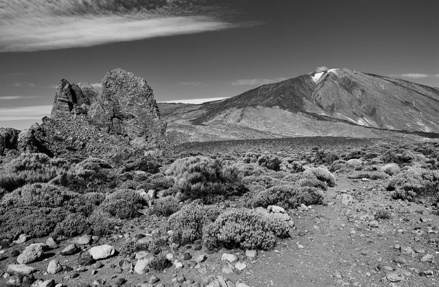 Parque Nal.Teide060bnweb.jpg