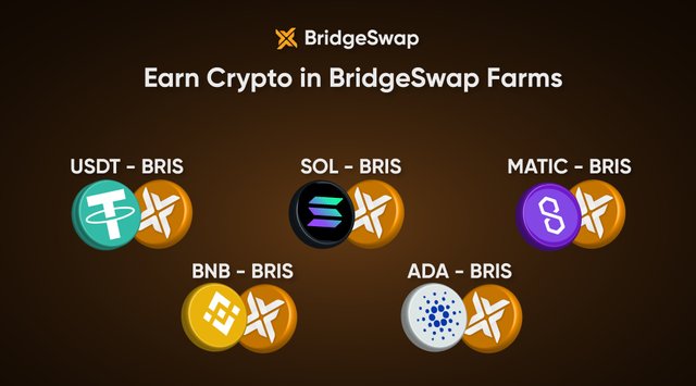 bridgeswap farm-01 (4).jpg