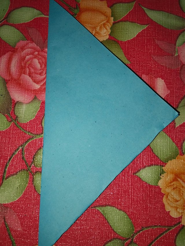 IMG20250706220128.jpg
