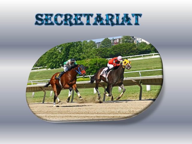 SECRETARIAT.jpg