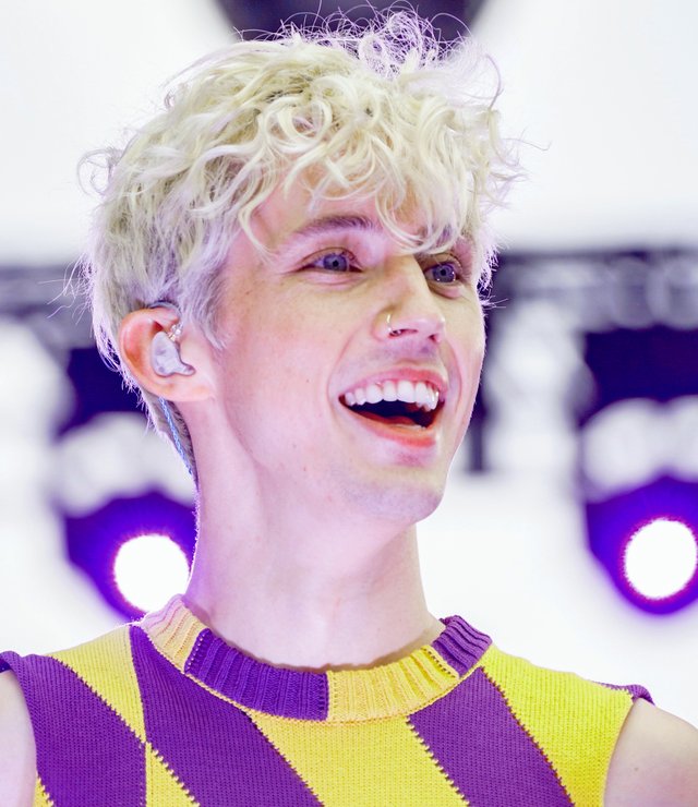 2018.06.10_Troye_Sivan_at_Capital_Pride_w_Sony_A7III,_Washington,_DC_USA_03462_(42690655572)_(cropped).jpg