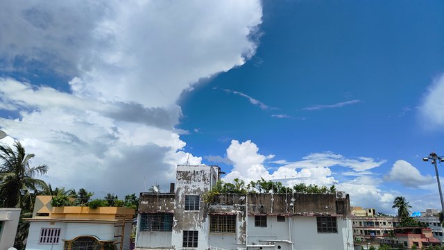 IMG20250818115936.jpg