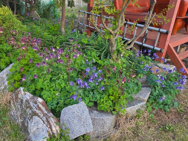 20250506_184712.jpg