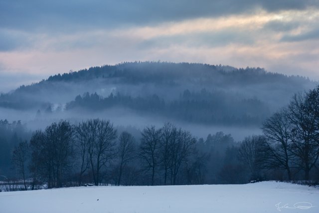 2019-02-03-Foggy-Hill-02.jpg