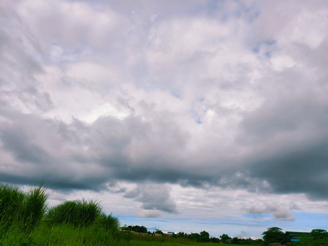 IMG_20250716_080725.jpg